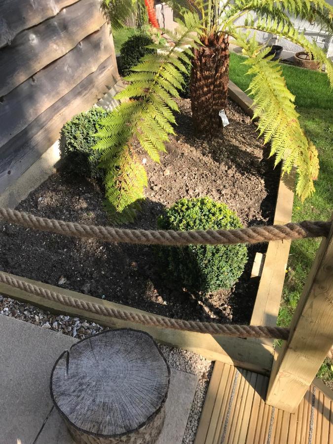 Winnie'S Corner - Self Contained Within The Grounds Of Another Property, In An Idyllic Wooded Setting Carlyon Bay Bagian luar foto
